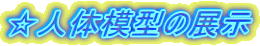 ���l�̖͌^�̓W��